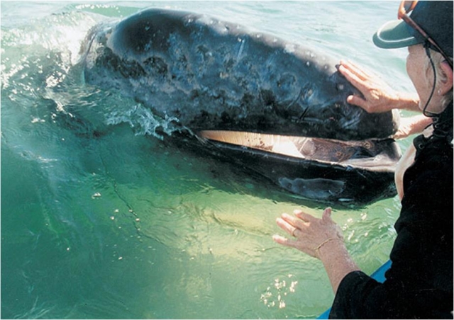  这是伟大的时刻 - 999 - 这就是 WOW 的意义所在，互动的伟大时刻 